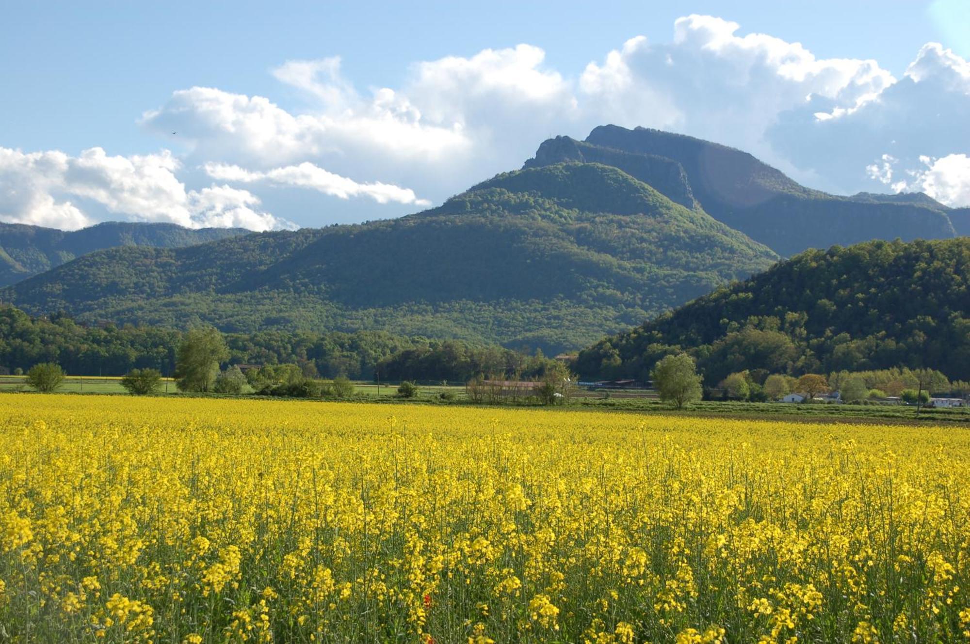 Casa Rural Mas Garganta La Pinya Eksteriør bilde