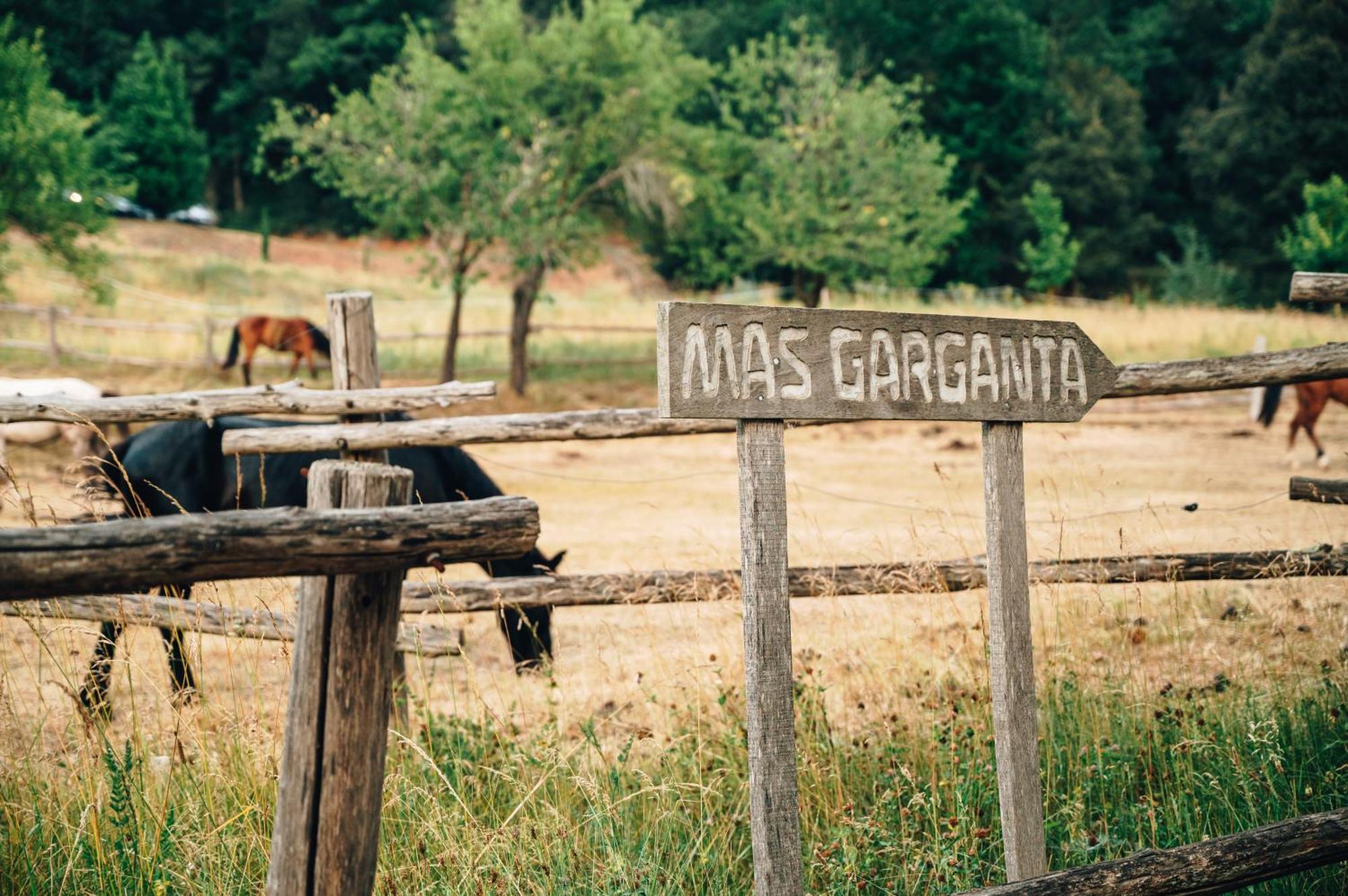 Casa Rural Mas Garganta La Pinya Eksteriør bilde